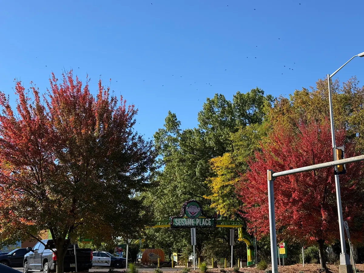 Colorful autumn trees beside the entrance to Sesame Place in Langhorne
