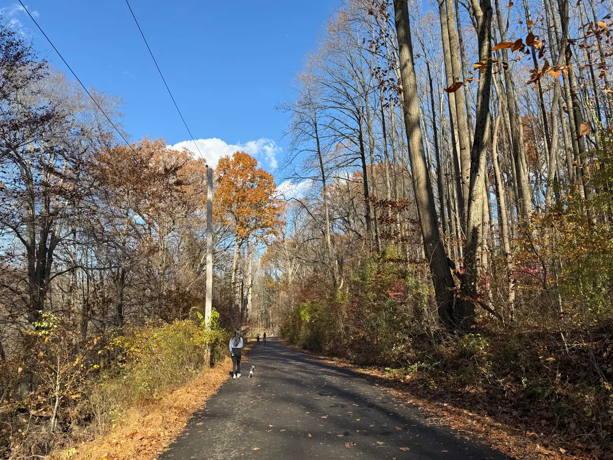 A paved multi-use trail winding through woodland at Ridley Creek State Park